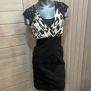 🌹NWT Nicole dress